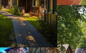 River Park Domki Wśród Drzew Wzdłuż Rzeki